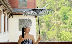 五星大饭店小说